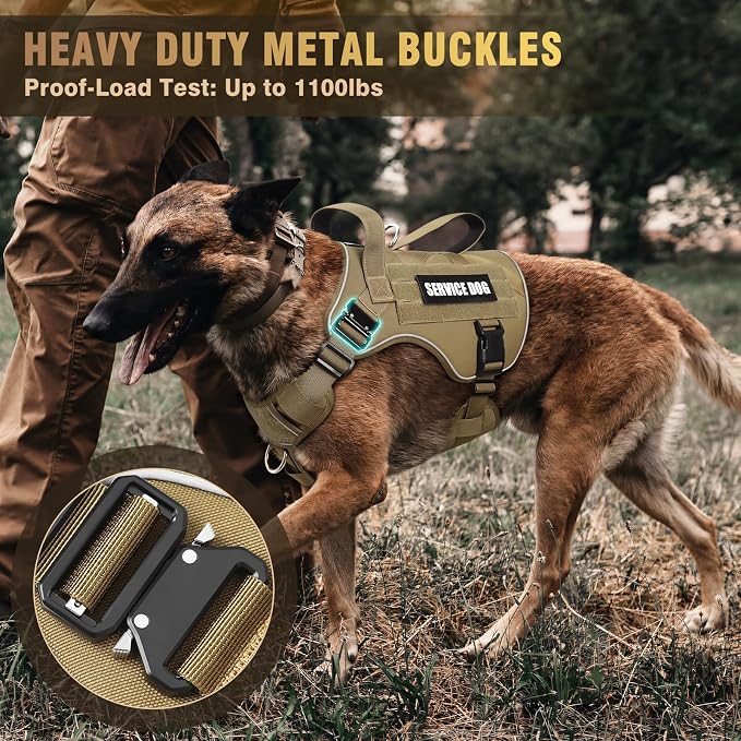 2X Metal Buckle Service Working MOLLE Dog Vest with 10 Pet Patches | Tactical Dog Harness for Medium Dog, No-pull Military Working Vest for Training Hunting Walking，2x D Rings for Leash Clip - Image 2