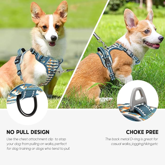 Timos Dog Harness, No Pull Large Sized with 3 Buckles, Sunset Valley, XL | Reflective, No Choke, Easy On & Off, Adjustable Soft Padded, Front & Back 2 Clips and Control Handle for Walking Training - Image 3
