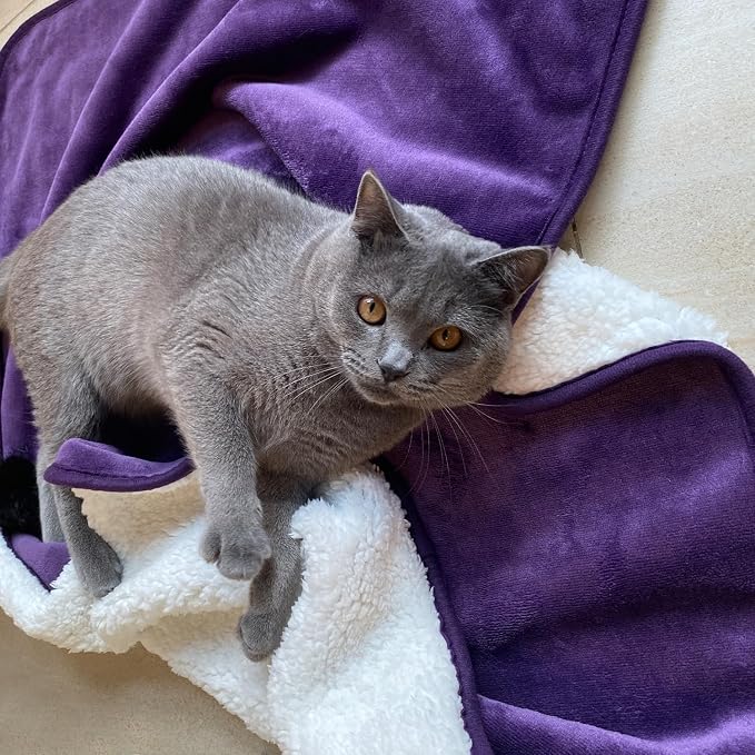 Soft Waterproof Blanket for Bed Couch Sofa, Dark Purple, 30x40inches | Liquid Pee Proof Pet Blanket for Dog Puppy Cat, Reversible Sherpa Fleece Blanket for Couch Cover, Furniture Protector - Image 2