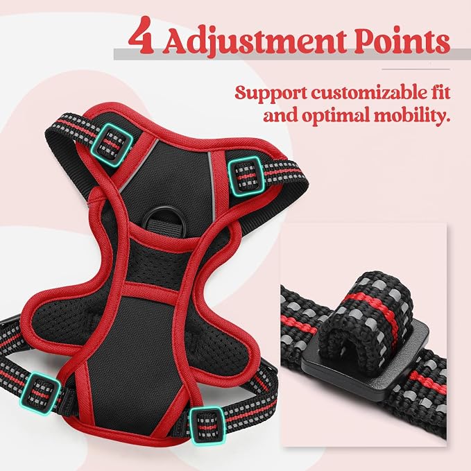 rabbitgoo Dog Harness, No Pull for Small Dogs with 2 Leash Clips, Pet Vest | No Choke with Handle, Adjustable Soft Padded, Reflective, Easy Control for Walking, Black & Red, X-Small - Image 4