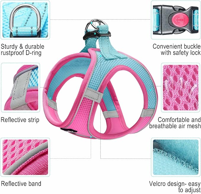 haapaw Dog Harness with Leash Set, No Pull Adjustable Reflective Step-in Puppy Harness with Thickened Padded Vest for Extra-Small/Small Medium Dogs - Image 2