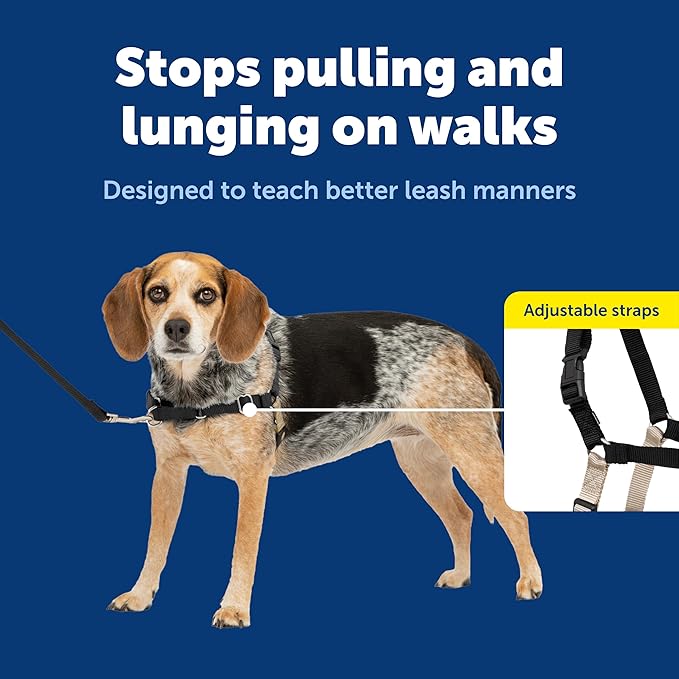 PetSafe Easy Walk Harness, No Pull Dog Harness, Black, Small/Medium | Patented Martingale Loop Gives Gradual Shoulder Pressure to Stop Pulling, Front-Chest Leash Clip Prevents Gagging - Image 3