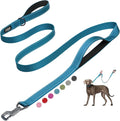 Fida Heavy Duty Dog Leash for Medium Large Dogs, 6 FT, Dual Padded Handles | Traffic Handle for Close Control, Advanced Easy Snap Hook, Reflective, Strong Nylon Webbing for Daily Walks & Training, Blue by Fida