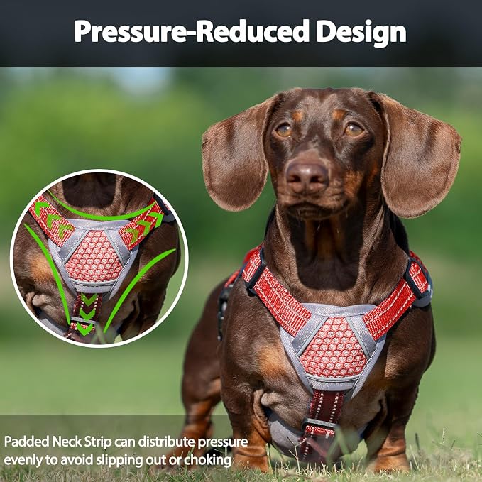 Escape Proof Dog Harness, Dachshund Harness, Reflective Dog Harness with Handle, Durable,Adjustable Vest for Small Medium Large Dogs Walking, Training, and Running Gear (Red,S) - Image 5