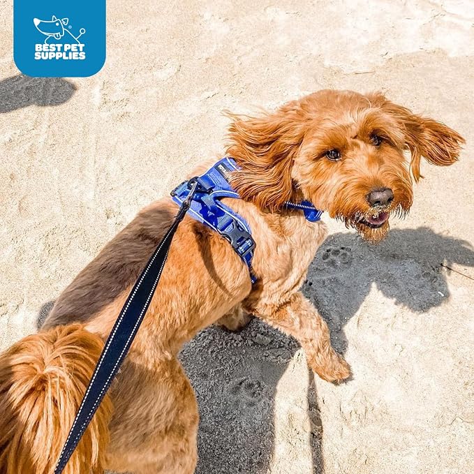 Voyager Dual Attachment No Pull Harness - Royal Blue, X-Small | 13 - 16" in Chest, No Pull Dog Harness, Fully Adjustable, 3M Reflective Technology, Front & Back D-Rings, Walking & Training - Image 12