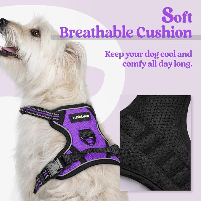 rabbitgoo Dog Harness No Pull with 2 Leash Clips, Adjustable Soft Padded, Reflective Oxford No Choke Pet Vest with Easy Control Handle for Puppy, Purple,XS | No Choke with Handle, Adjustable Soft Padded, Reflective, Easy Control for Walking, Purple, X-... - Image 2