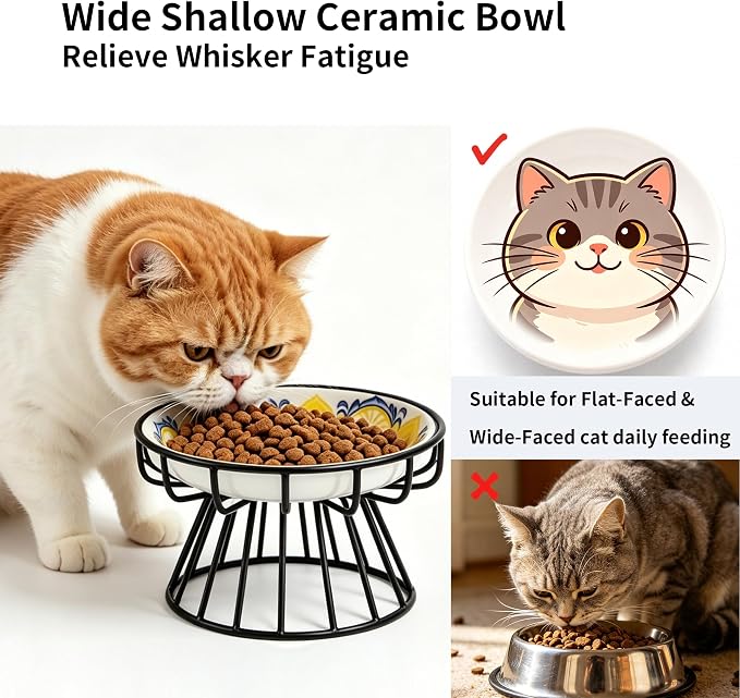 Elevated Ceramic Cat Bowl, Neck Protective, Whisker-Friendly, Dishwasher Safe, Suitable for Cats and Puppies(Bohemian Style) - Image 2