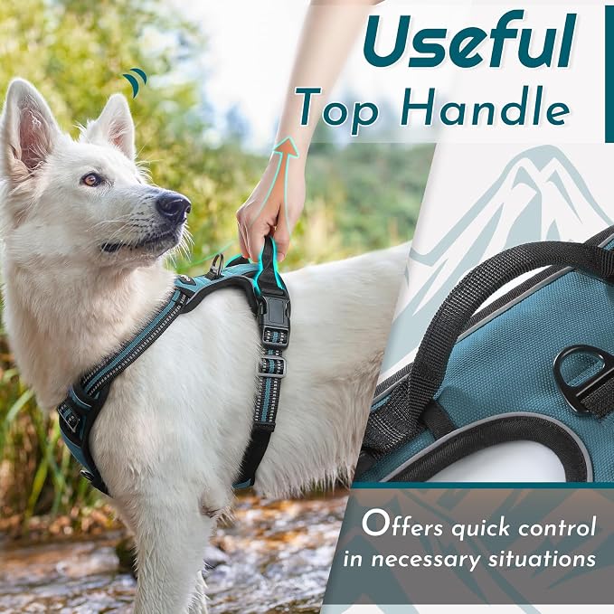 Eagloo Dog Harness for Large Dogs, No Pull Pet Vest with 2 Leash Clips | No Choke with Handle, Adjustable Comfort Fit, Reflective Strips, Easy Walking Control, Dark Green, Large - Image 4