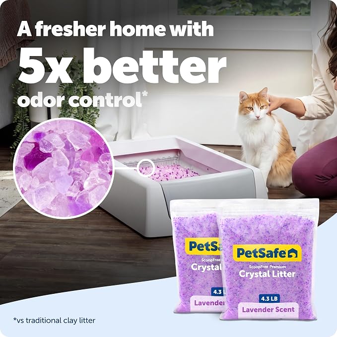 PetSafe ScoopFree Premium Crystal Litter, Lavender Scent, 4.3Lb Bag, 2 Pack | Ultra-Absorbent Crystal Cat Litter, 5x Faster Odor Control, 99% Dust-Free, Low Tracking, Refills Any Cat Box or Tray - Image 2