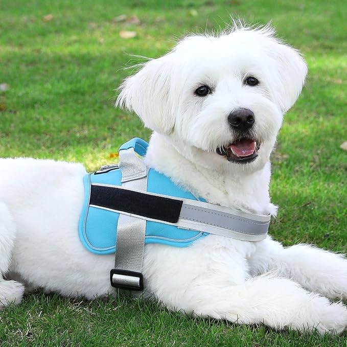 Dog Harness, No-Pull Reflective Dog Vest, Breathable Adjustable Pet Harness with Handle for Outdoor Walking - No More Pulling, Tugging or Choking (OceanicBlue, Medium (Pack of 1)) - Image 8