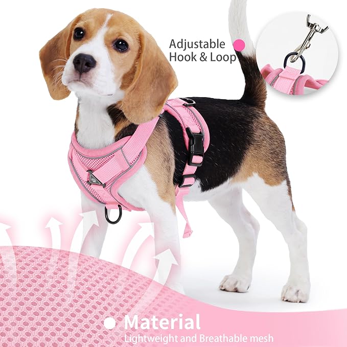 Dog Harness Small Sized Dog Pet Vest with Leash Set Pink M | Adjustable Puppy Vest Harness, No Choke No Pull, Soft Padded, Step-in Dog Vest, Reflective Cat Harness, Breathable Air Mesh - Image 4