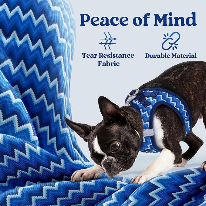 rabbitgoo Step-in Small Dog Harness, Puppy Vest for Small Medium Sized Pet | Easy Put on and off, Lightweight, Soft, Breathable Quick-Dry Air Mesh for Comfortable Secure Walking, Blue Zigzag L - Image 4