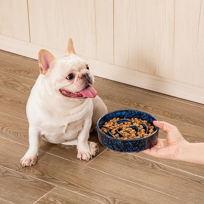 vancasso Slow Feeder Dog Bowl, 0.6 Cup Ceramic Puzzle Dish for Small Breeds | Maze Dog Food Bowl for Fast Eaters, Slow Feeding Design for Small Dogs and Cats, Promotes Healthy Eating Habits, Blue - Image 9