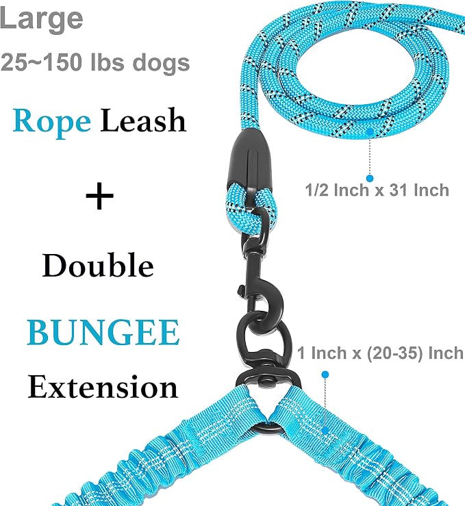 Double Dog Leash, 360° Swivel, No Tangle, Large, 25-150 lbs, Blue | Dual Leash for Two Dogs, Split Leash, Shock-Absorbing Bungee, Padded Handle, Heavy-Duty Rope - Image 2