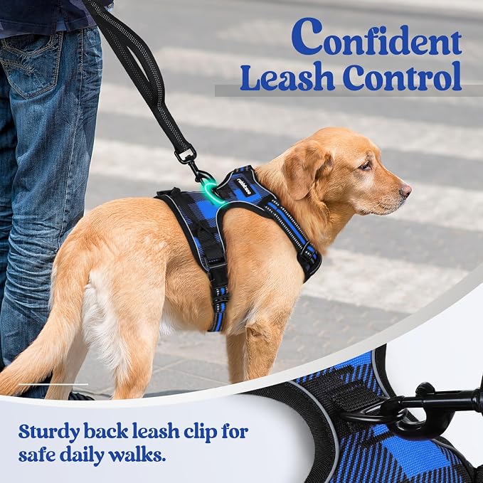 rabbitgoo Dog Harness, No Pull for Large Dogs with 2 Leash Clips, Pet Vest | No Choke with Handle, Adjustable Soft Padded, Reflective, Easy Control for Walking, Blue Plaid, Small - Image 6