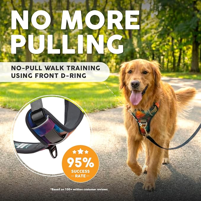 Embark No Pull Dog Harness, Reflective Adjustable Training Vest, No Choke | Adjustable straps fit all dog breeds with sturdy hooks; 360° reflective trim, soft padded Harness Design for All Dogs - Image 2