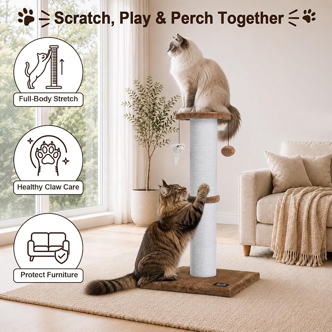 34-Inch Tall Cat Scratching Post for Large Cats, Sturdy Base, Tan | Heavy-Duty Cat Scratcher, Extra-Tall Thick Post, Soft Natural Cotton Rope, Hanging Interactive Cat Toys, Indoor Cat Furniture - Image 3