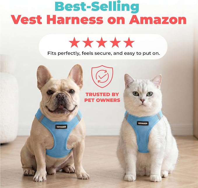 Voyager Step-in Air Dog Vest Harness - Sky Blue, X-Large | 20.5 - 23" in Chest, Reflective Bands, All Weather Breathable Air Mesh, Cats Compatible, Lightweight, Fast Drying - Image 6