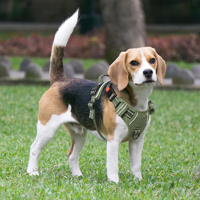Timos Dog Harness Small Sized, Neck Quick Release with 3 Buckles, Green, S | Easy On & Off, No Pull No Choke, Adjustable Reflective Soft Padded, Front & Back 2 Clips and Handle for Walking Training - Image 5