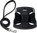 Dog Harness with Leash Set, Step-in Adjustable Puppy Pet Vest, Black XL | Lightweight Breathable Air Mesh, Night Safety Reflective, No Pull Puppy Vest Harnesses for Small Medium Large Dogs, Cats by BOOMIBOO