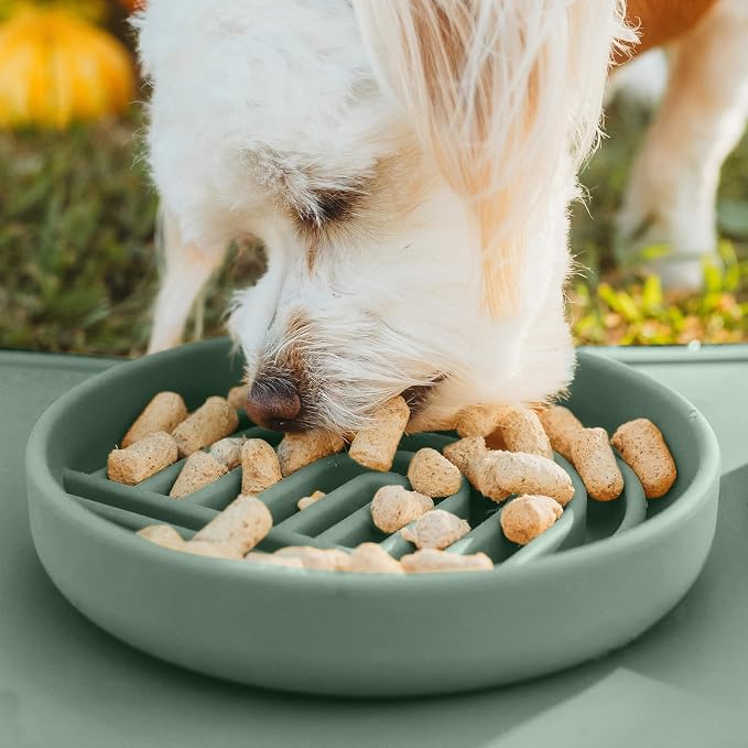 Should We Go? Slow Feeder Dog Bowls - Small Size Silicone Slow Eating Dog Bowl for Puppies & Dogs with Suction Cup -Dishwasher-Safe, Lick Mat Design, Reduces Gulping, for All Breeds, 6”x1.25”- Spruce - Image 5