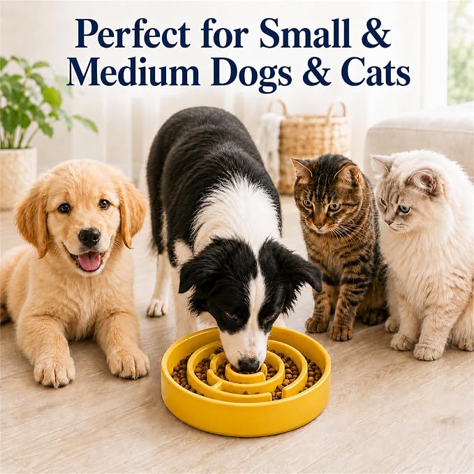 Ceramic Slow Feeder Dog Bowl, 1.5 Cup Puzzle Dish for Small Medium Dogs | Glazed ceramic maze bowl with 1.5-cup capacity for dry or wet food, sized for small and medium dogs - Image 3