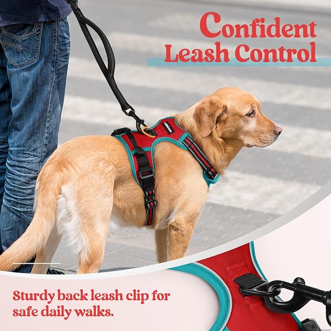 rabbitgoo Dog Harness, No Pull for Large Dogs with 2 Leash Clips, Pet Vest | No Choke with Handle, Adjustable Soft Padded, Reflective, Easy Control for Walking, Red & Teal, X-Large - Image 6
