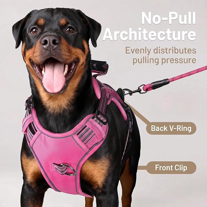 3-in-1 Dog Vest Harness Leash Set for Daily,Service,Training Animal X Large - Image 3