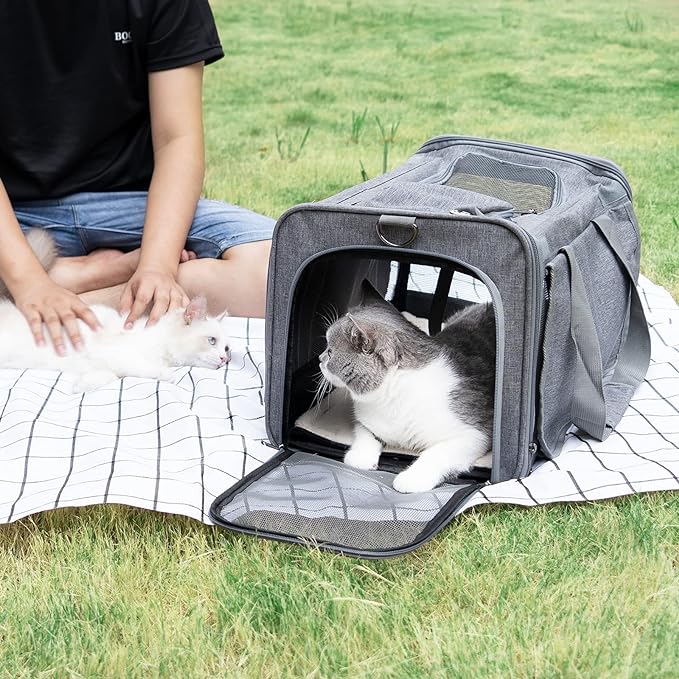 GAPZER Pet Carrier for Large Cats up to 20lbs Soft-Sided Privacy Protection | Pet Crate for Medium to Big Kitten Small Puppy Transport, Washable Dog Cloth Carry Bag Home Outdoor Car Travel, Vet Visits - Image 6