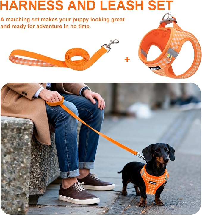 AIITLE Step in Small Dog Harness and Leash Set, Puppy Pet Vest, Orange XS | Breathable Mesh, Adjustable Fit, No-Pull Reflective Design, Escape Proof, for Small-Medium Dogs, Outdoor Walking, Running - Image 7