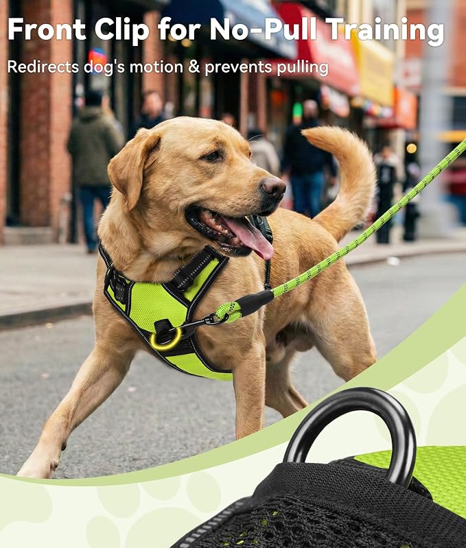 Joytale No Pull Dog Harness for Small Dogs, Front Clip, Green | Grab Handle for Instant Control, Padded & Adjustable Vest, Sturdy Metal D-Rings, for Safe Training & Daily Walking - Image 2