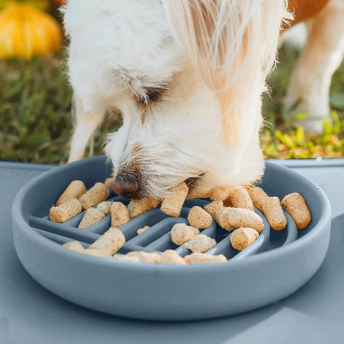 Should We Go? Slow Feeder Dog Bowls - Small Size Silicone Slow Eating Dog Bowl for Puppies & Dogs with Suction Cup -Dishwasher-Safe, Lick Mat Design, Reduces Gulping, for All Breeds, 6”x1.25”- Ocean - Image 5
