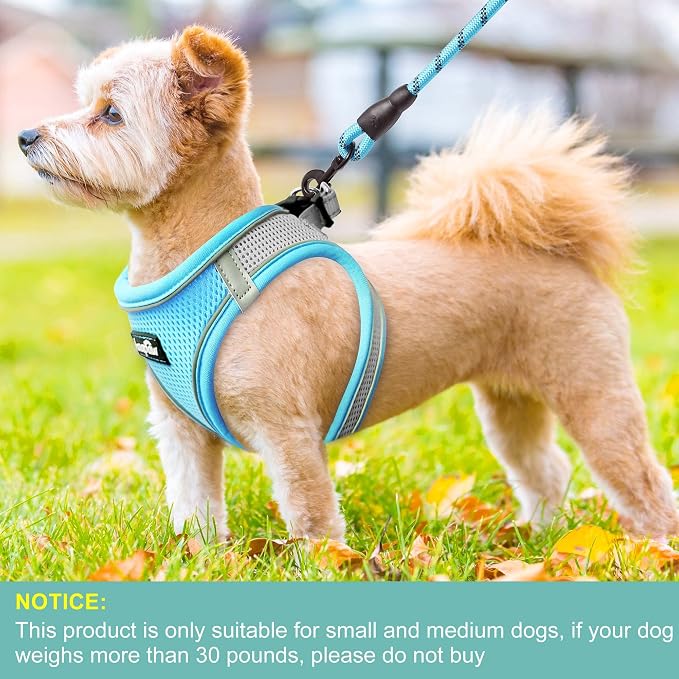haapaw Dog Harness with Leash Set, No Pull Adjustable Reflective Step-in Puppy Harness with Thickened Padded Vest for Extra-Small/Small Medium Dogs - Image 4