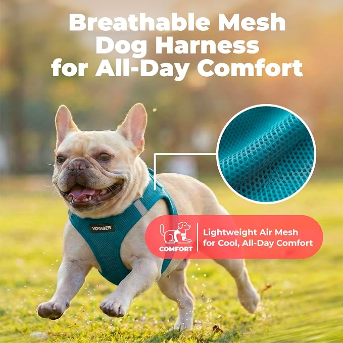 Voyager Step-in Air Dog Vest Harness - Turquoise, Medium | 16 - 18" in Chest, Reflective Bands, All Weather Breathable Air Mesh, Cats Compatible, Lightweight, Fast Drying - Image 5