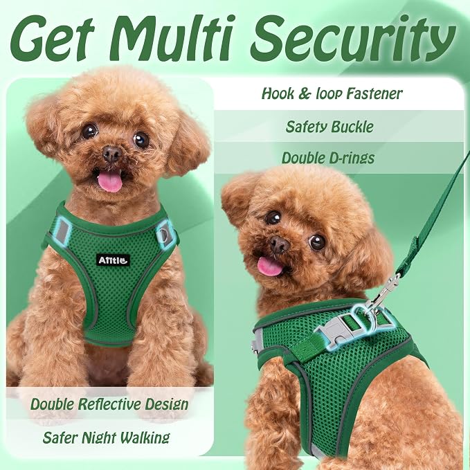 AIITLE Small Dog Harness and Leash Set, Step-in Puppy Pet Vest, Green XXS | Breathable Mesh, Adjustable Fit, Reflective Design, Padded Leash Handle, for Small-Medium Dogs & Cats, Walking, Training - Image 8