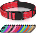 Joytale Reflective Dog Collar, Adjustable Neoprene Padded, Red L | Breathable Nylon for Large Dogs, No Chafing on Walks and Outdoor Hikes, Tear-Resistant Webbing, Metal D-Ring, Night Safety by Joytale