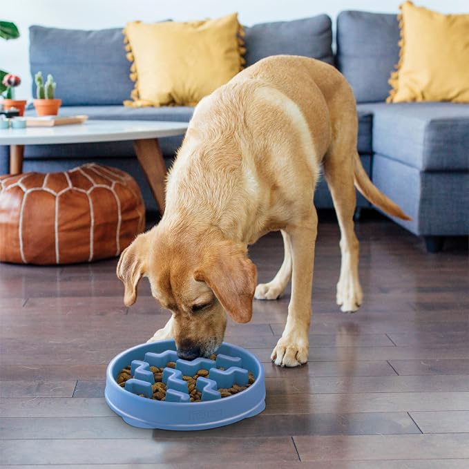 Outward Hound Fun Feeder Slo Bowl – Large 4‑Cup Capacity, Slow Feeding, Medium to Large Dogs, Non‑Slip, Blue, Notch Pattern | Slows Fast Eaters, Can Aid Digestion, Holds 4 Cups Dry or Wet Food, Non-Slip Base, Easy Clean, No BPA, Medium to Large Dogs - Image 6