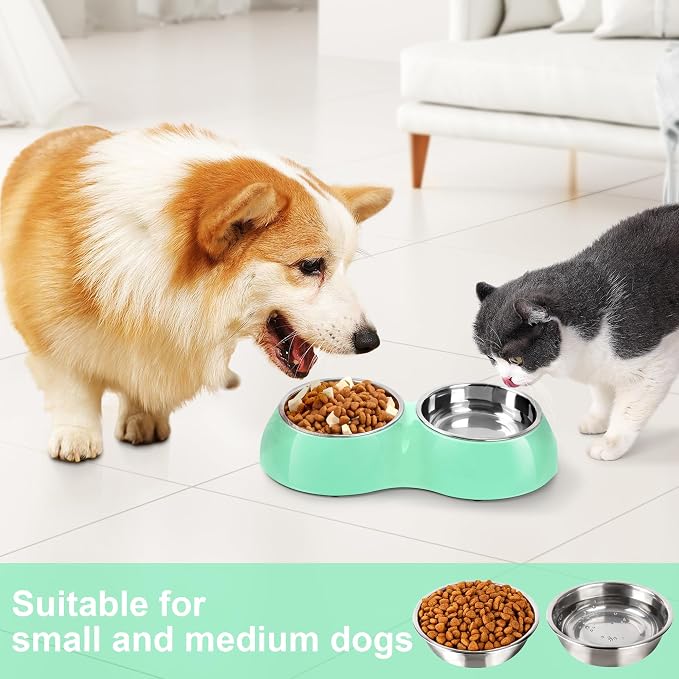 Stainless Steel Dog Bowls Set – Dual Non-Slip Pet Dishes with 2 Small (4oz*2) Bowls & Durable Resin Stand,Food & Water Feeder for Puppies, Kittens, and Small Breed Dogs - Green - Image 3