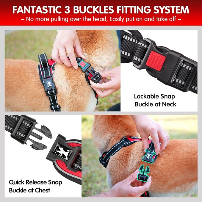 PoyPet Dog Harness and Leash Set, No Pull Vest with Front Clip and Handle | Escape Proof, Reflective, 3 Buckles, 2 D-rings, Adjustable, Soft Padded, 5 Feet Leash, for Walking Training, Red, S - Image 2