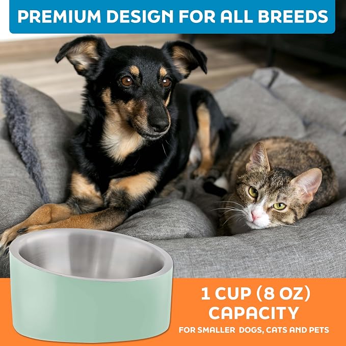Master Pet Supply Stainless Steel Slanted Dog Cat Food Bowl 8 oz Pistachio | Heavy Duty Double Wall Insulated, Non-Slip Elevated Bowl for French Bulldogs, Pugs, Cats, Anti Rust, Dishwasher Safe - Image 7