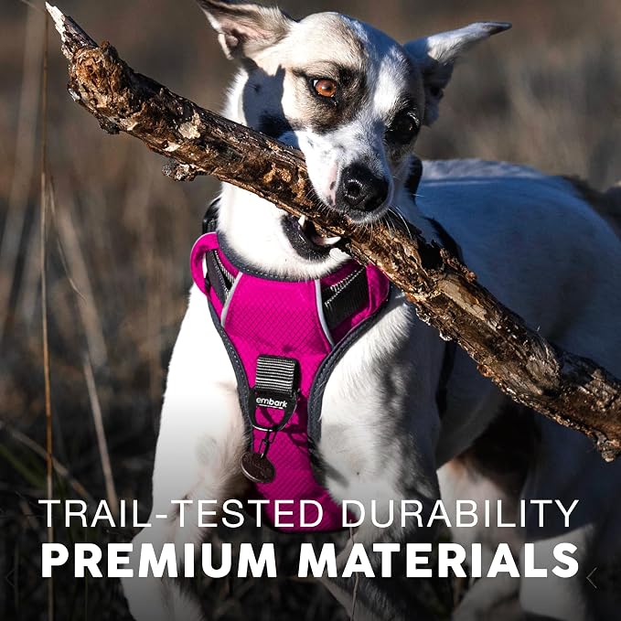 Embark No Pull Dog Harness, Reflective Adjustable Training Vest, No Choke | Adjustable straps fit all dog breeds with sturdy hooks; 360° reflective trim, soft padded Harness Design for All Dogs - Image 5