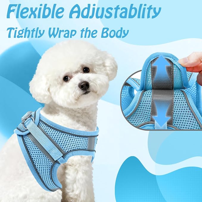 AIITLE Dog Harness and Leash Set, Step-in Puppy Pet Vest, Pure Blue XXS | Breathable Mesh, Adjustable Fit, Reflective Design, Padded Leash Handle, for Small-Medium Dogs & Cats, Walking, Training - Image 3