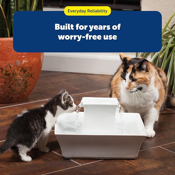 PetSafe Cat and Dog Water Fountain - Automatic Water Dispenser - Drinkwell Pagoda Ceramic Fountain for Pets - Filter Included - Blue - 70 oz, Model:PWW00-14898 | 2 Falling Water Streams Encourage Hydration, Cat & Small Dog Water Fountain, Carbon Filter... - Image 9