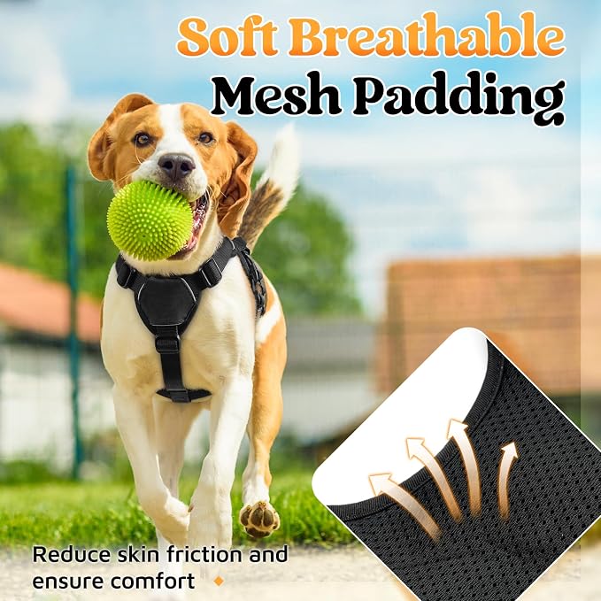 rabbitgoo Escape Proof Dog Harness for Small, No Pull with Lift Handle | No Escape, Full Soft Padded, Reflective Adjustable Vest, Leash Clip for Walking Hiking Training, Black, Small - Image 6
