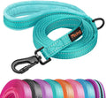 Didog 6FT Reflective Dog Leash for Medium Large Dogs, Slim 3/4" Width, Teal | Soft Padded Handle, Plush Comfort Grip, Tangle-Free, 360°Heavy-Duty Strengthened Clasp for Daily Walks/Training, Night Safety by Didog