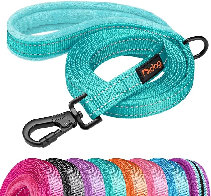 Didog 6FT Reflective Dog Leash for Medium Large Dogs, Slim 3/4" Width, Teal | Soft Padded Handle, Plush Comfort Grip, Tangle-Free, 360°Heavy-Duty Strengthened Clasp for Daily Walks/Training, Night Safety by Didog