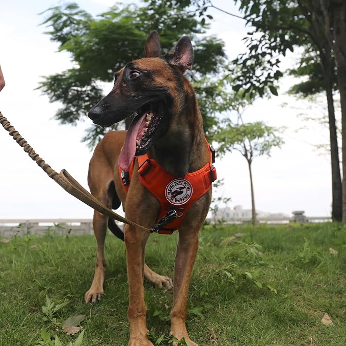 ICEFANG Tactical Dog Harness for Large Dogs,Reflective No Pull Dog Vest | with Control Handle,Adjustable,Front Hook,2 Leash Clips,Soft Padded,MOLLE Panel,Orange,Large - Image 4