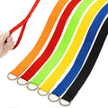 Slip Lead Dog Leash, 24 Pack 6 FT Pet Bulk Leashes with O-Ring | Short Pet Leads for Walking Training Grooming Shelter Rescue Small Medium and Large Dogs by PETPMEEE