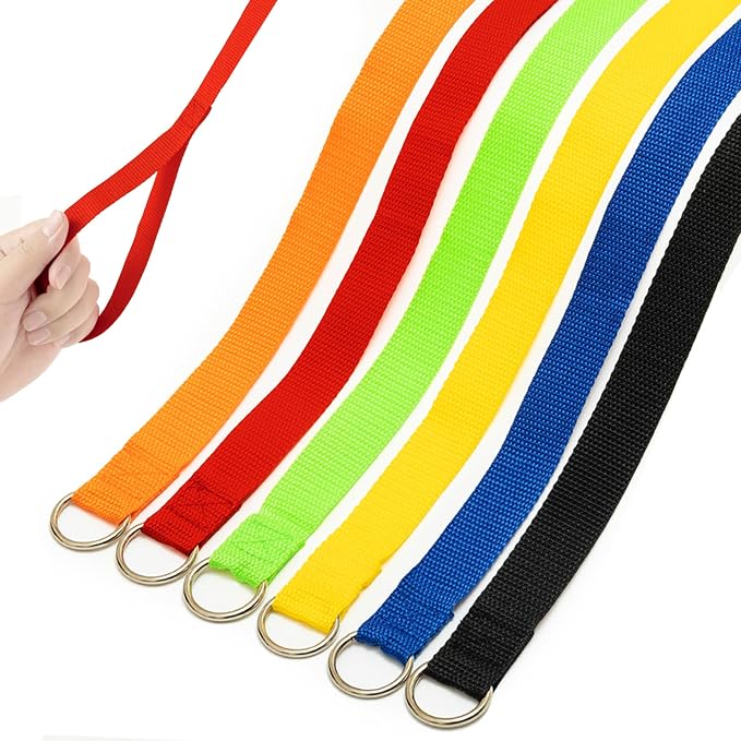 Slip Lead Dog Leash, 24 Pack 6 FT Pet Bulk Leashes with O-Ring | Short Pet Leads for Walking Training Grooming Shelter Rescue Small Medium and Large Dogs by PETPMEEE