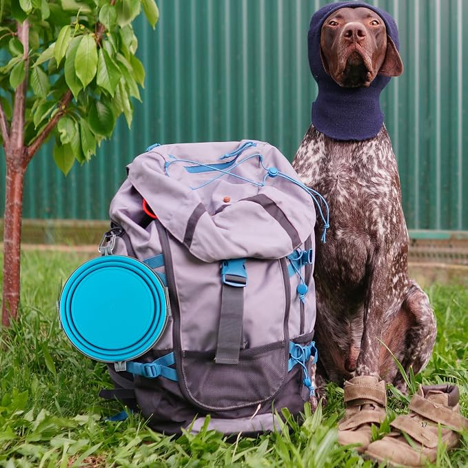 Loving Pets Bella Roma Collapsible Dog Bowls - Silicone Dog Bowls, Foldable Bowl, Puppy Essentials & Hiking Pet Supplies Great for Home & Travel (Blue, Large) - Image 7